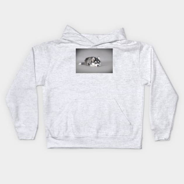 Hysky puppy Kids Hoodie by PetsArt